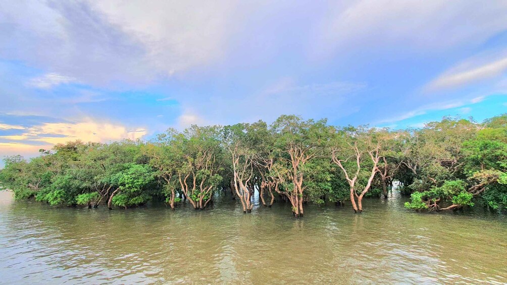 Picture 12 for Activity Tonle sap, Kompong Phluk (Floating village)