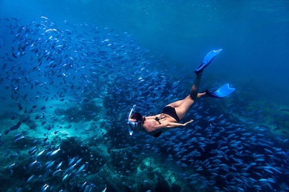 Bali: Blaue Lagune Schnorcheln & Wasserfall Tour mit Mittagessen