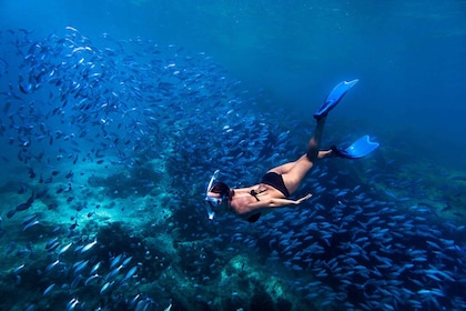 Bali: Blue Lagoon Snorkelling & Waterfall Tour with Lunch