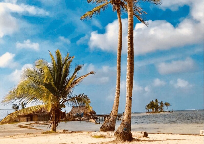 Picture 3 for Activity San Blas Day Tour: Explore the Top 3 Islands, From San Blas