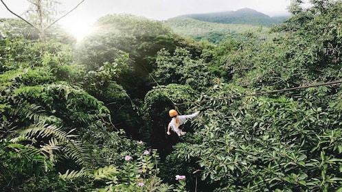 Mahe Island: Zip Lining and Marine Park Snorkeling Excursion