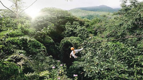 Mahe Island: Zip Lining and Marine Park Snorkelling Excursion