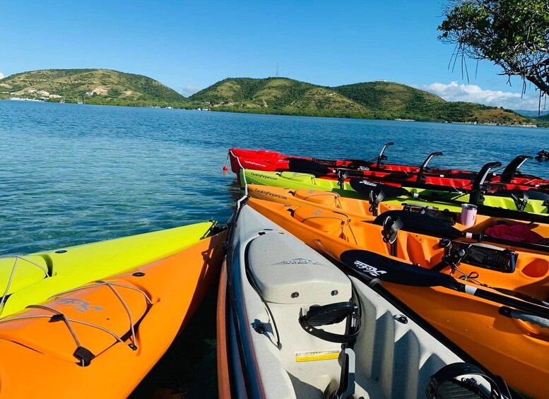 Picture 3 for Activity La Parguera: Hobie Pedal Kayak Adventure