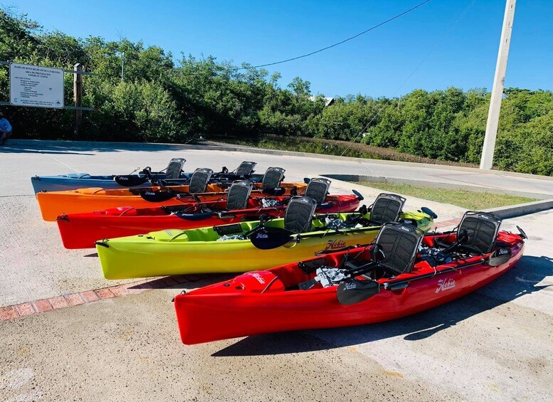 Picture 4 for Activity La Parguera: Hobie Pedal Kayak Adventure