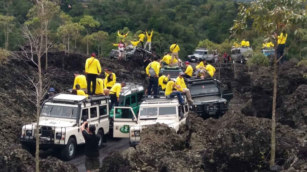 Picture 5 for Activity Land Rover Jeep 4x4 tour Kintamani & Ubud Swing