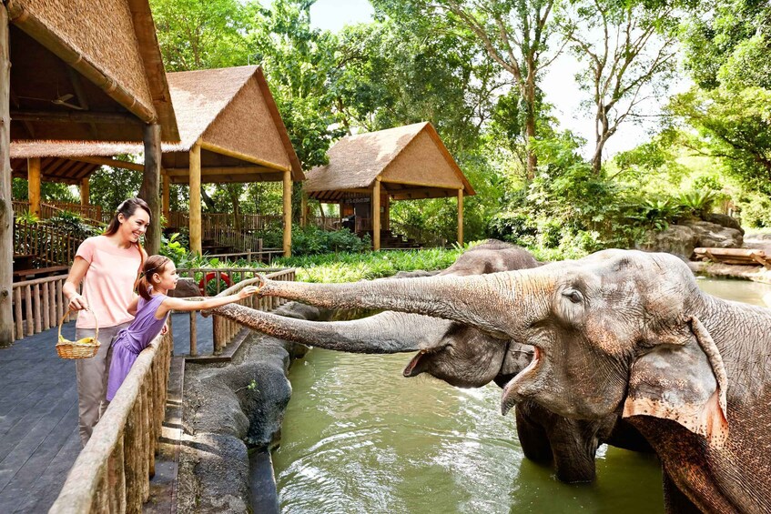 Picture 1 for Activity Singapore Zoo: Entrance Ticket with Tram Ride