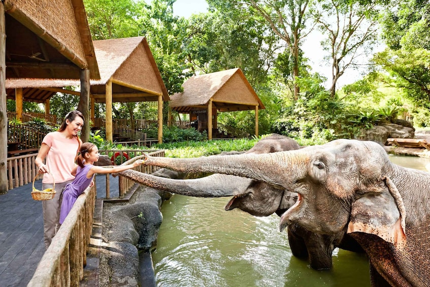 Picture 1 for Activity Singapore Zoo: Entrance Ticket with Tram Ride