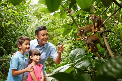 Singapore Zoo: Entrance Ticket with Tram Ride