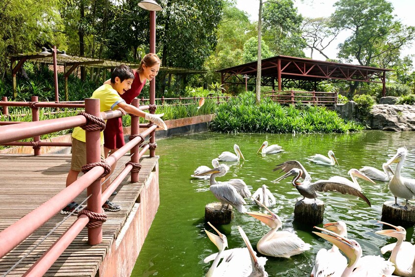 Picture 4 for Activity Singapore Zoo: Entrance Ticket with Tram Ride