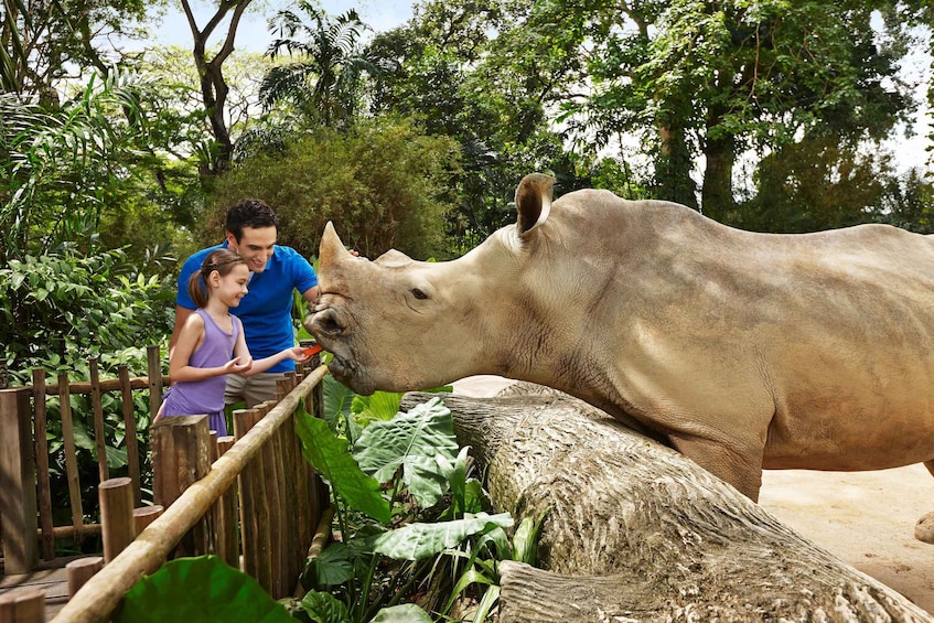 Picture 2 for Activity Singapore Zoo: Entrance Ticket with Tram Ride
