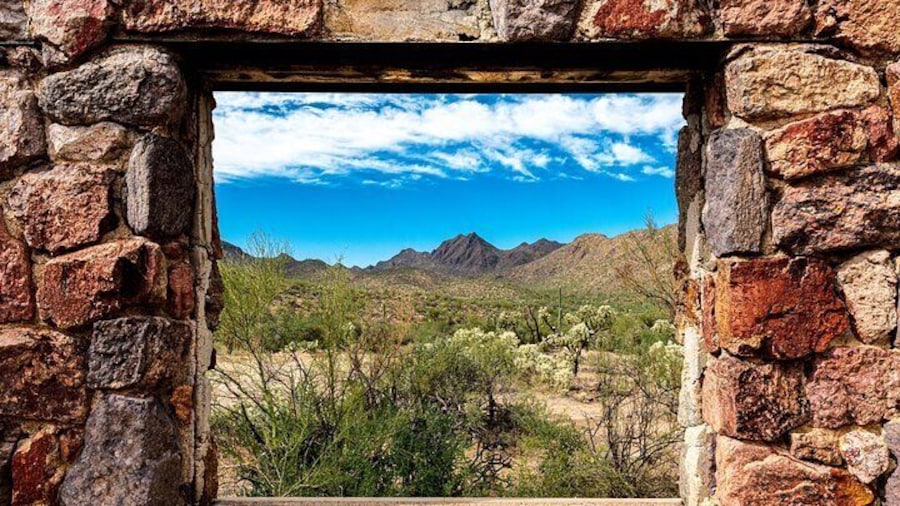 Window into the Sonoran Desert
