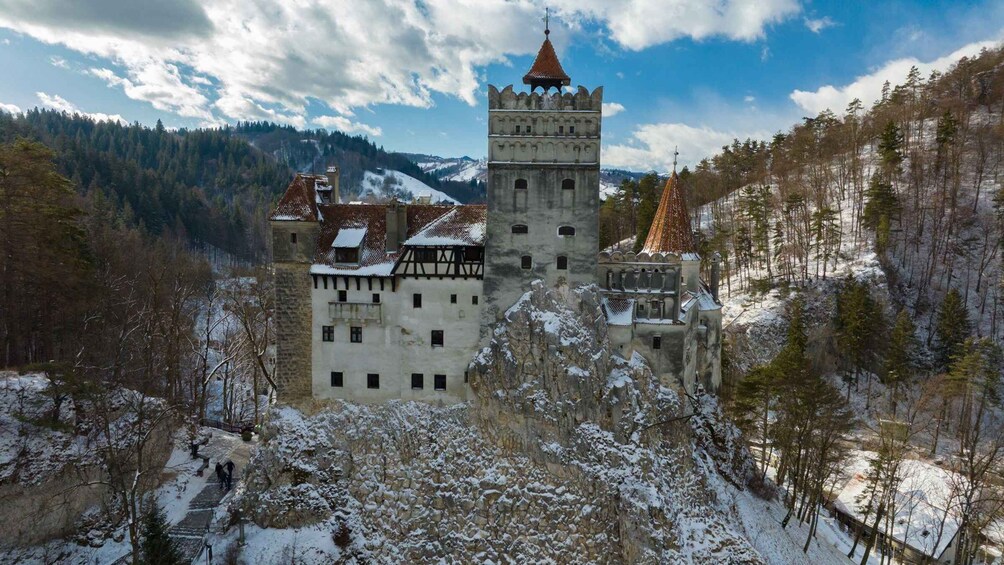 Picture 6 for Activity Brasov: Bear Sanctuary, Dracula Castle, and Râşnov Fortress