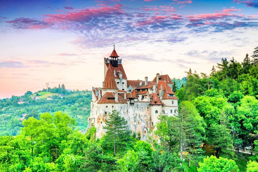 Picture 7 for Activity Brasov: Bear Sanctuary, Dracula Castle, and Râşnov Fortress