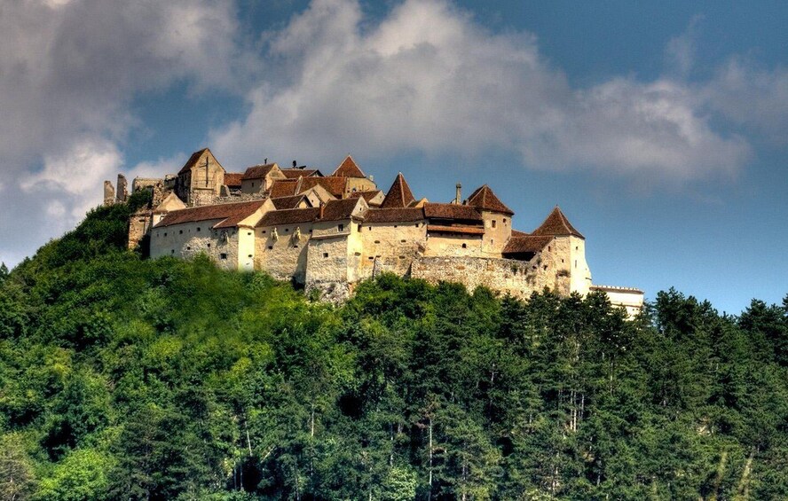 Picture 4 for Activity One day trip Bear Sanctuary, Dracula Castle, Rasnov Fortress