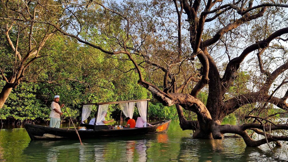 Picture 2 for Activity Koh Lanta: Magical Sunrise Tour by Private Boat at Mangroves