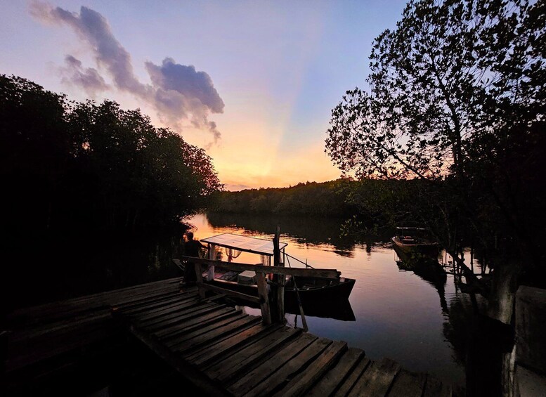 Picture 15 for Activity Koh Lanta: Magical Mangroves Sunrise by Private Gondola Boat