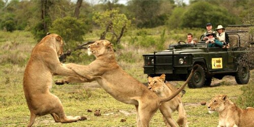 Hluhluwe Imfolozi Big 5 Full Day Tour from Durban