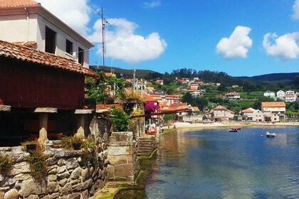 Rías Baixas : Visite guidée d’une journée de Santiago avec promenade en bat...