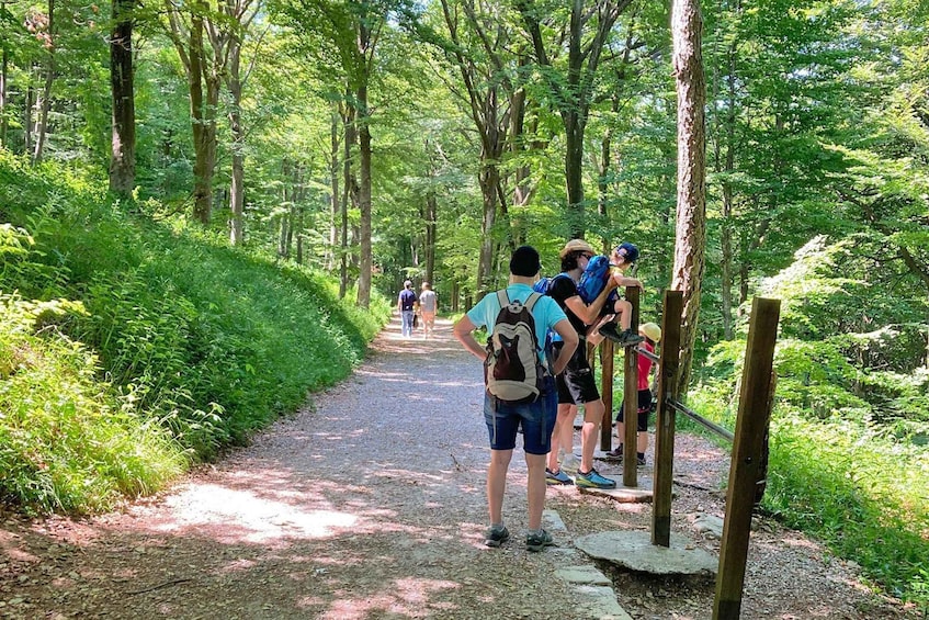 Picture 5 for Activity Lake Como: half-day hike in dolomitic mountains over Lecco