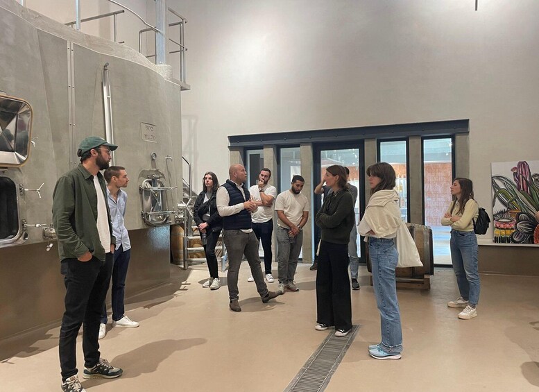 Picture 10 for Activity Montpellier : half day wine tour in Camargue