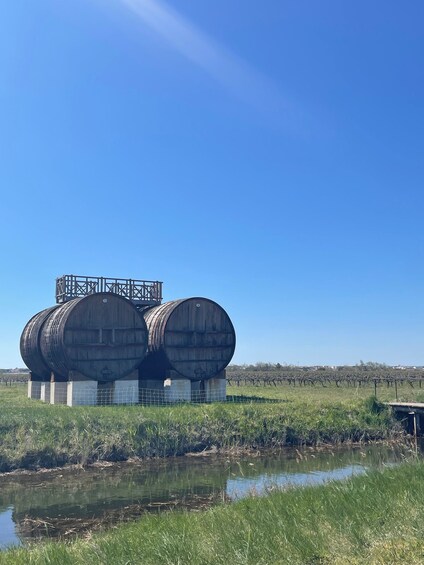 Picture 1 for Activity Montpellier : half day wine tour in Camargue