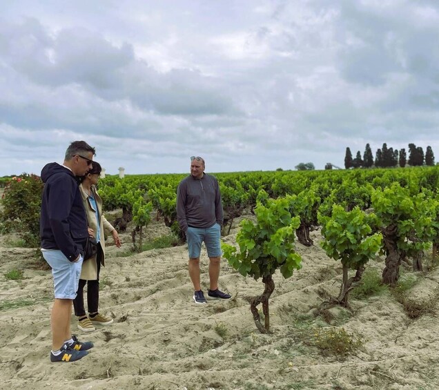 Picture 15 for Activity Montpellier : half day wine tour in Camargue