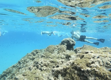 Malta: Tur Snorkeling