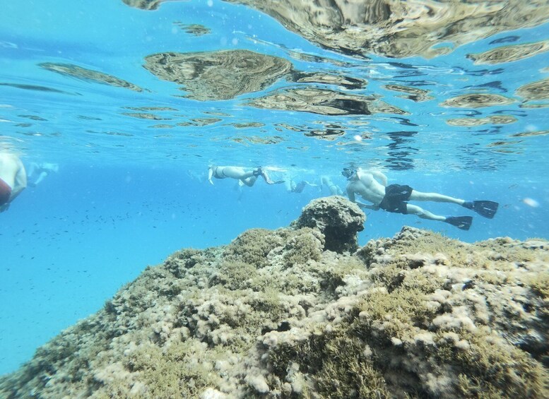 Malta: Snorkeling Tour