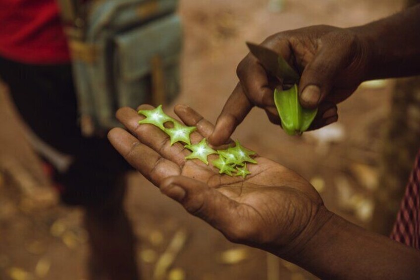 Zanzibar Spice Farms & Plantations