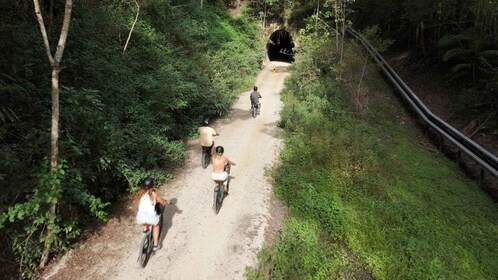 Northern Rivers Rail Trail E-Bike Hire w Shuttle from Byron