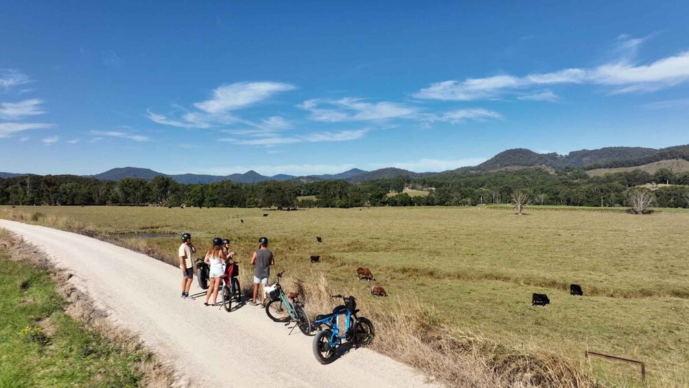 Picture 3 for Activity Northern Rivers Rail Trail E-Bike Hire w Shuttle from Byron