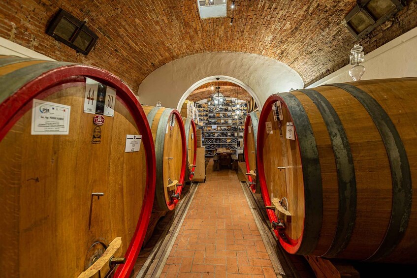 Picture 3 for Activity Montepulciano: Guided Winery Tour with Tasting & Appetizers