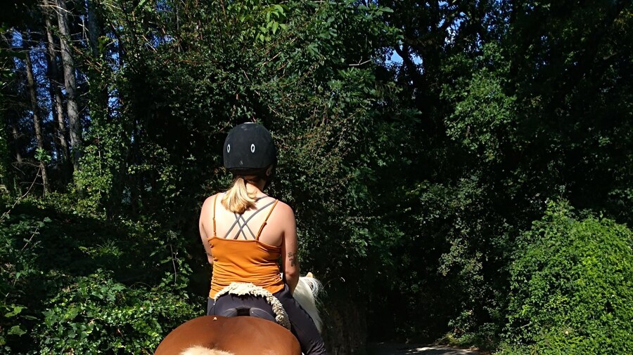Casentino: Horseback Riding Tour with Verna Sanctuary View