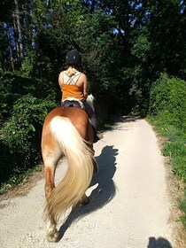 Casentino: Horseback Riding Tour with Verna Sanctuary View