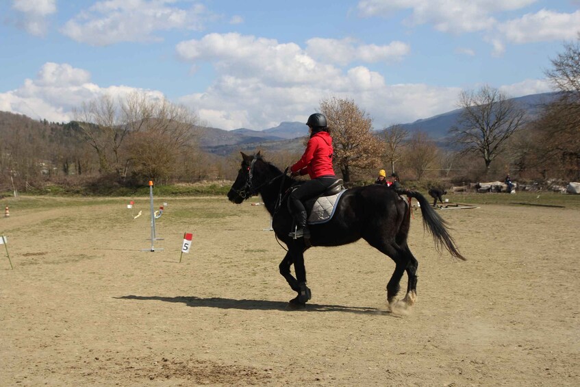 Picture 3 for Activity Casentino: Horseback Riding Tour with Verna Sanctuary View