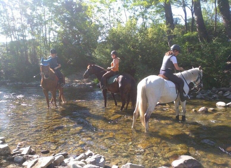 Picture 1 for Activity Casentino: Horseback Riding Tour with Verna Sanctuary View