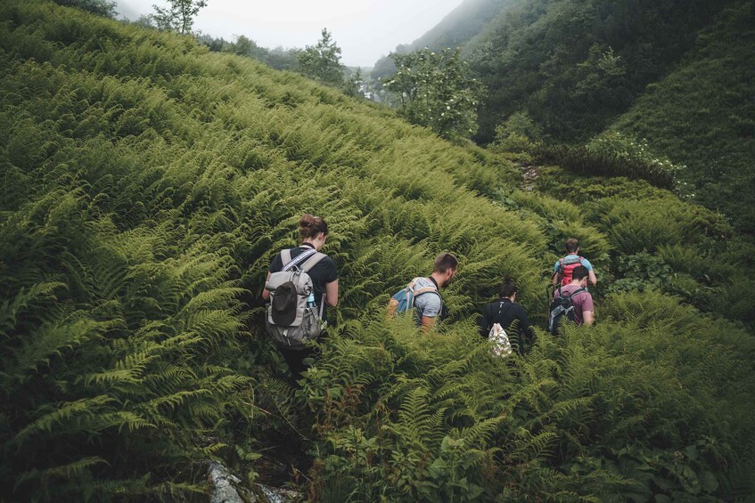 Picture 7 for Activity High Tatras: Bearwatching Hiking Tour in Slovakia