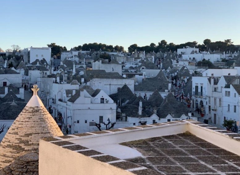 Alberobello the "Town of Trulli" Private Day Tour from Rome