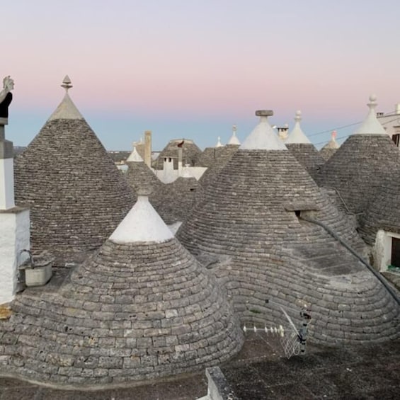 Picture 1 for Activity Alberobello the "Town of Trulli" Private Day Tour from Rome
