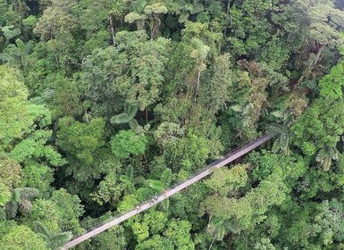 Jembatan Gantung Mistico Hiking