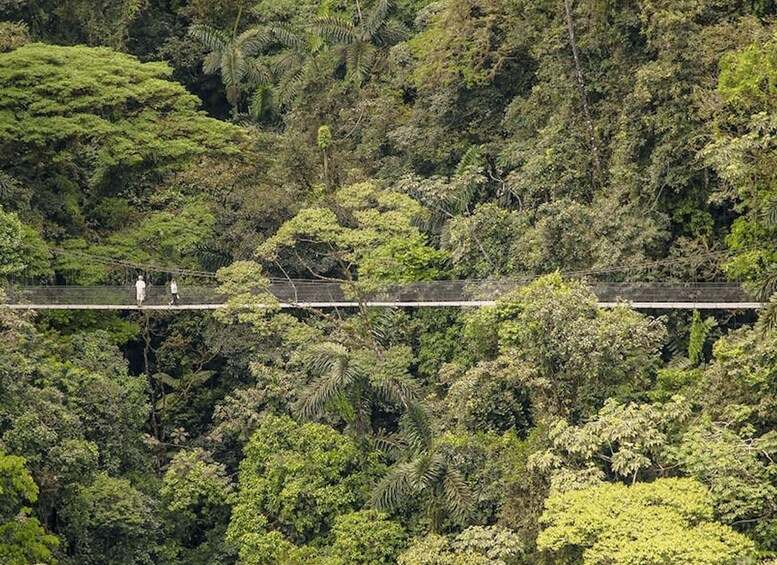 Picture 2 for Activity Mistico Hanging Bridges Hiking