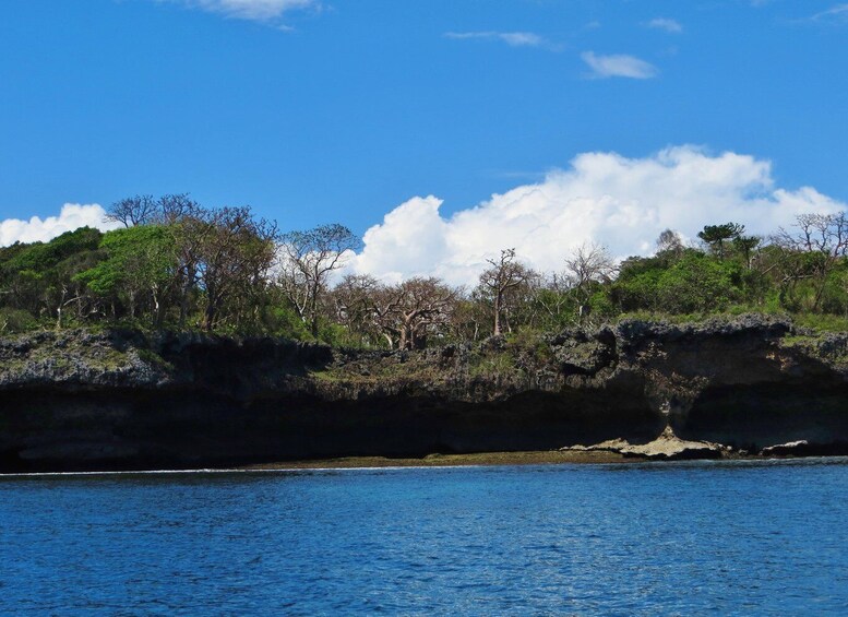 Picture 1 for Activity Wasini Excursion: Dolphin Trip & Snorkel at Kisite Mpunguti