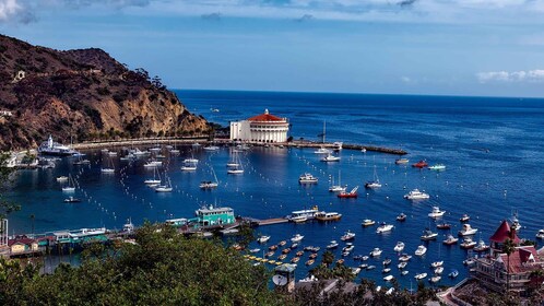 Visita guiada con todo incluido a la isla Catalina desde Orange Co