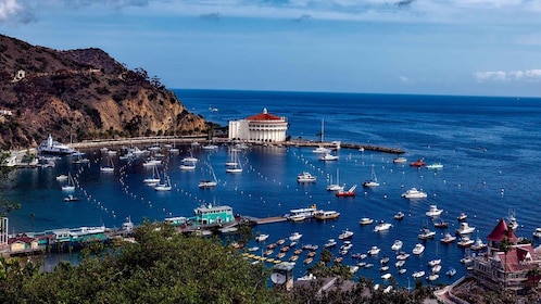All-Inclusive Guided Tour of Catalina Island from Orange Co