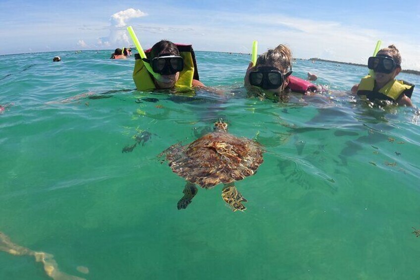 Swimming with turtles, 2 cenotes & gopro