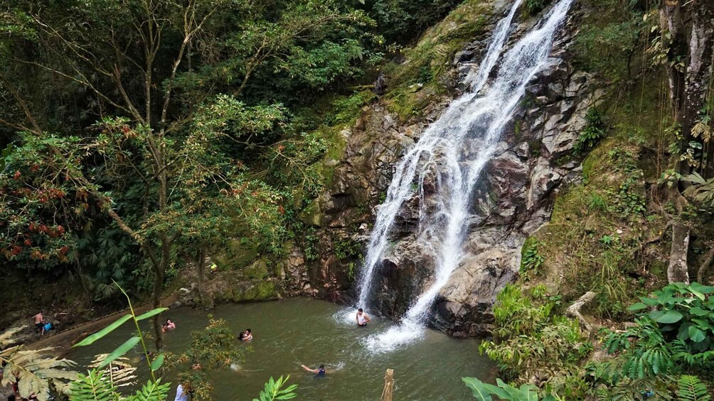 Picture 5 for Activity Minca, Waterfalls & Coffee Farm Tour