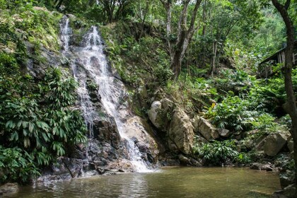 Minca, watervallen & koffieplantage tour