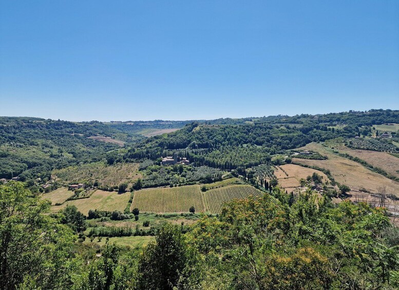 Picture 6 for Activity Orvieto the Etruscan City Private Tour from Rome