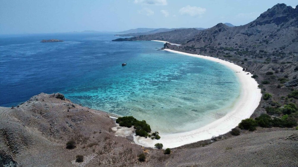 Picture 10 for Activity From Labuan Bajo Explore komodo dragon island