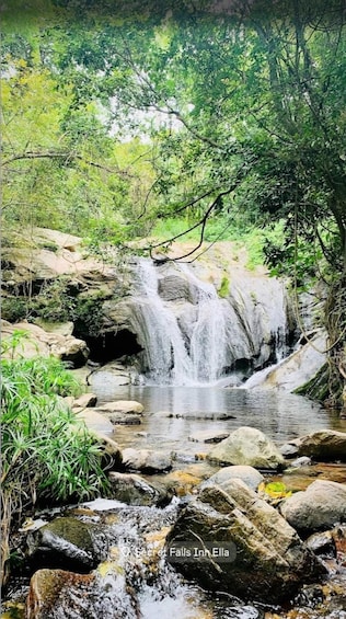 Picture 6 for Activity Sri Lanka / Bentota: Motorbike sightseeing tours